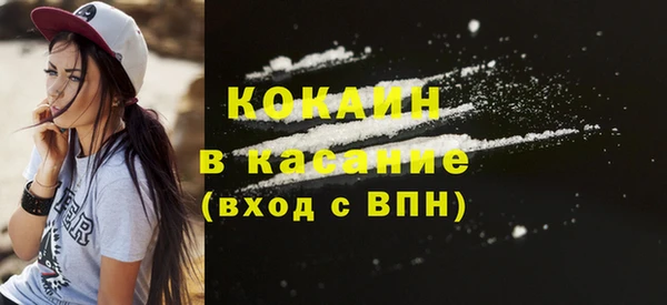 сатива Зерноград