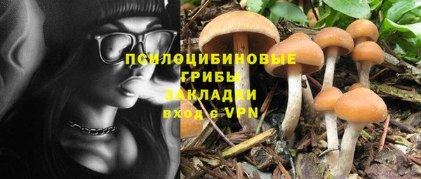 сатива Зерноград
