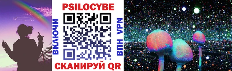 Купить где  Жиздра  Псилоцибиновые грибы GOLDEN TEACHER 
